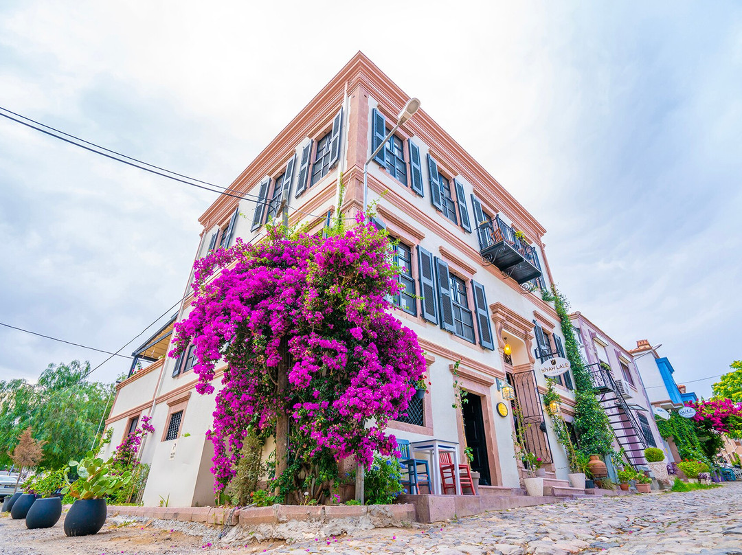 Cunda Island酒店住宿-Siyah Lale Cunda 1841