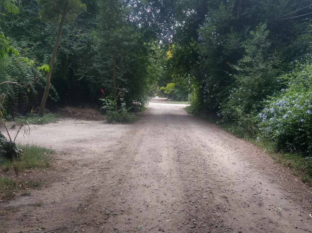 Bosque Peralta Ramos-马德普拉塔必去景点