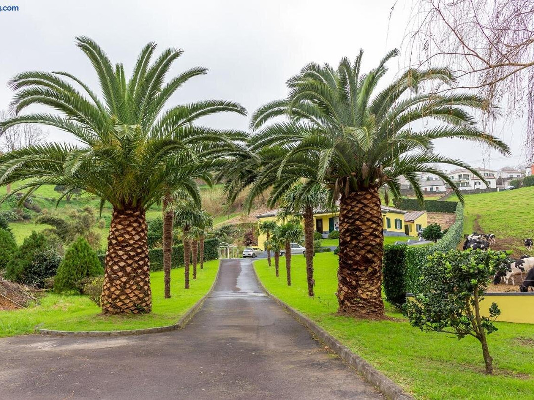 Quinta das Palmeiras
