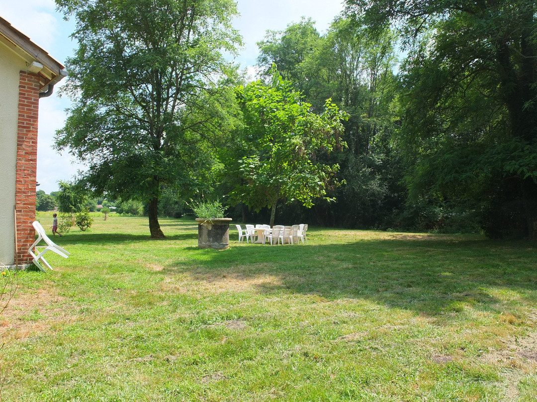 Landes Surf Golf