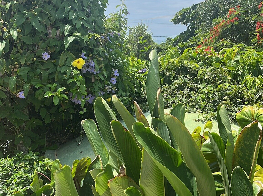 Pousada do Marujo主图