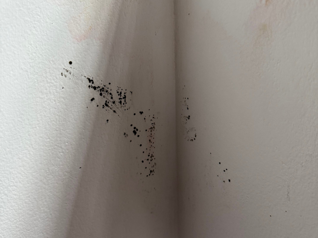 Anasa Wellness Resort主图