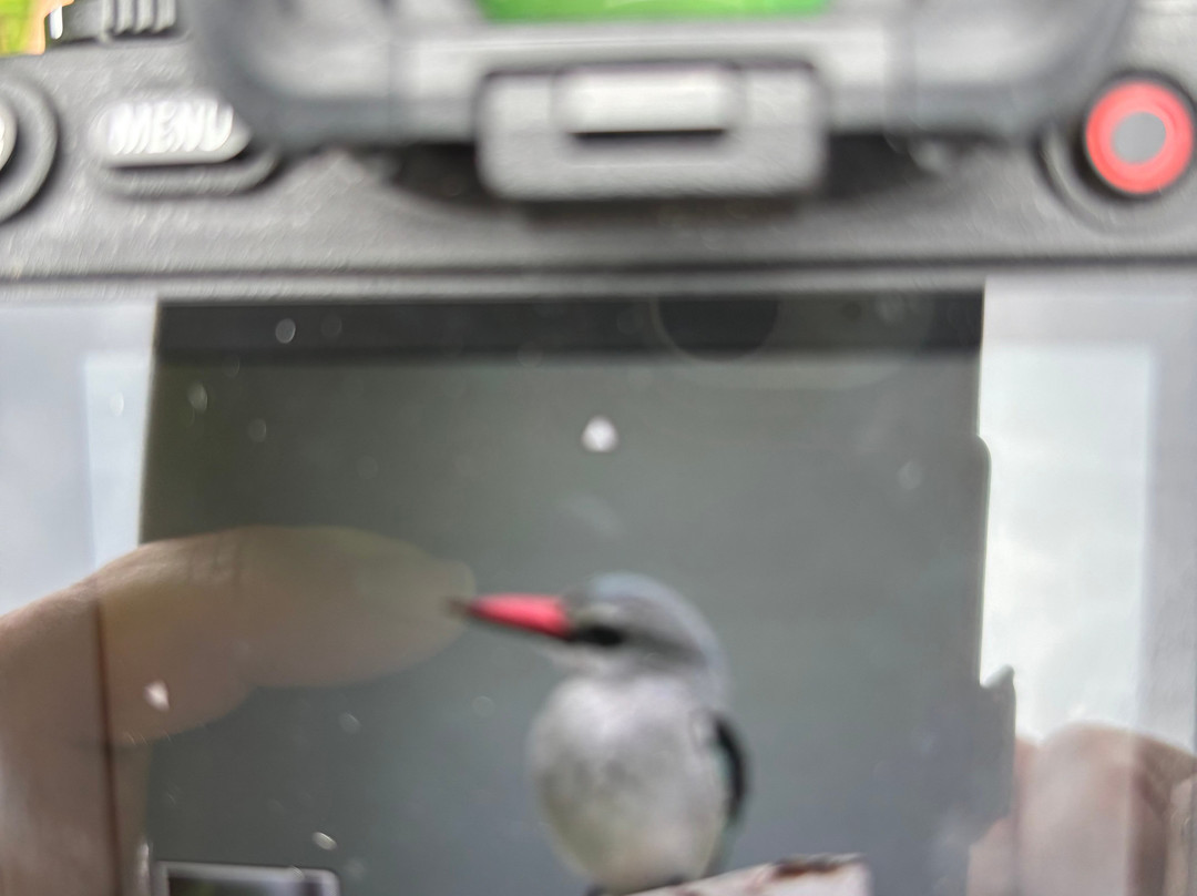 Lake Chahafi Resort主图