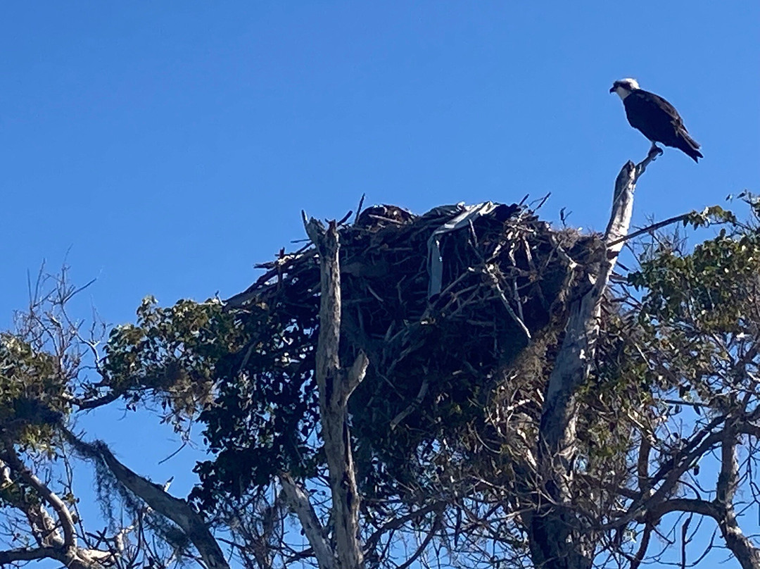 Flamingo-大沼泽国家公园必去景点