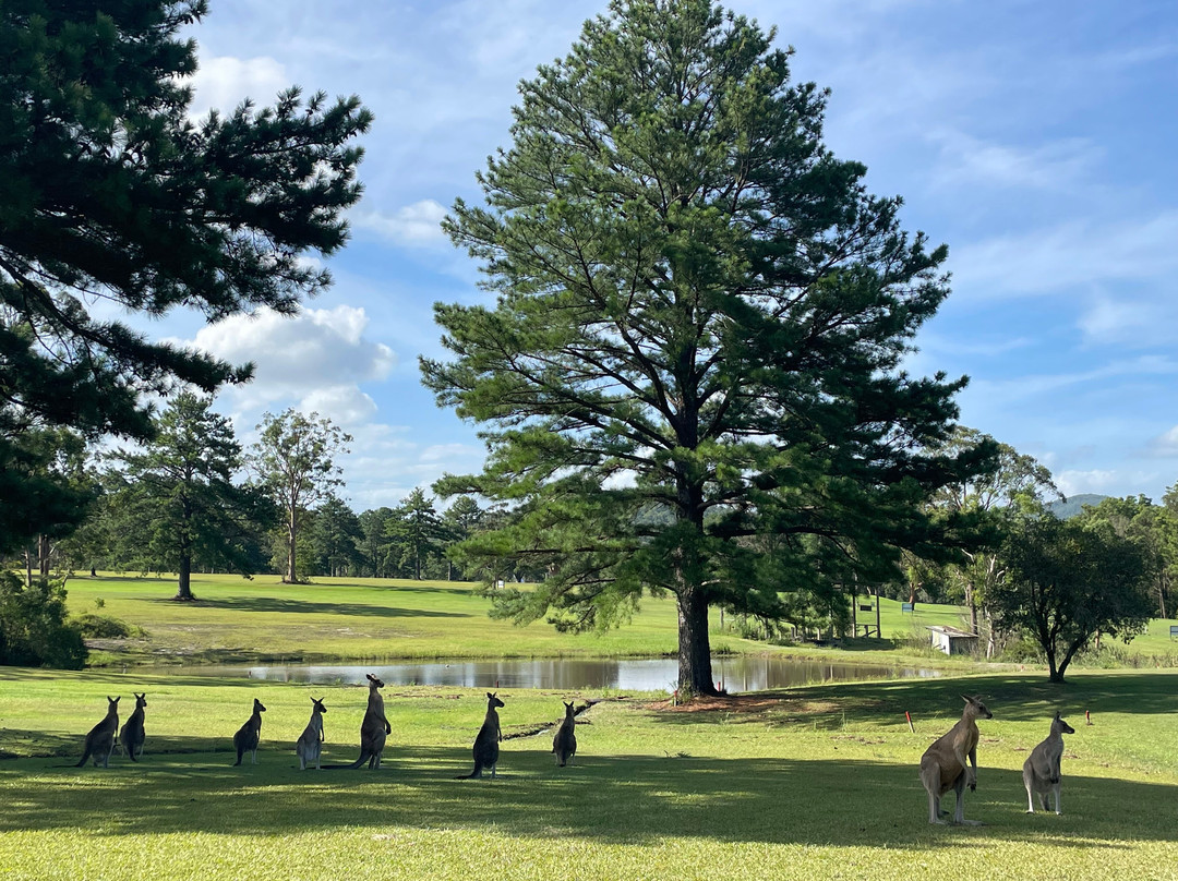 Bulahdelah Golf Course景点图片