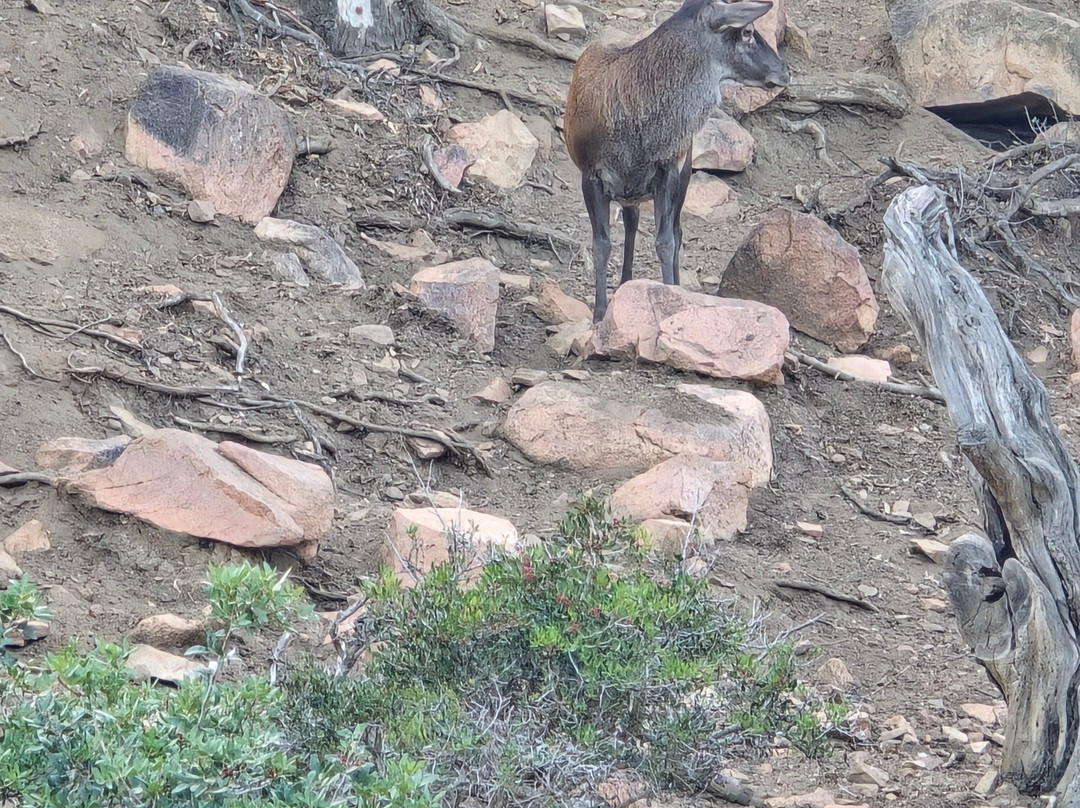 Parco Naturalistico Bellavista-Arbatax必去景点