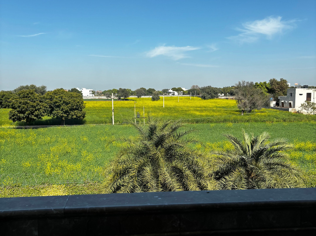 The Lal Vilas Hotels & Resorts主图