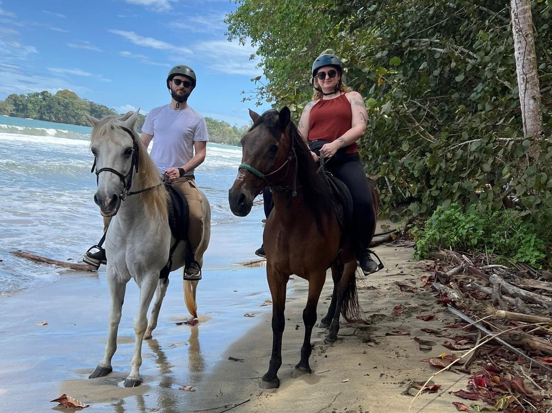 Caribe Horse Riding Club景点图片