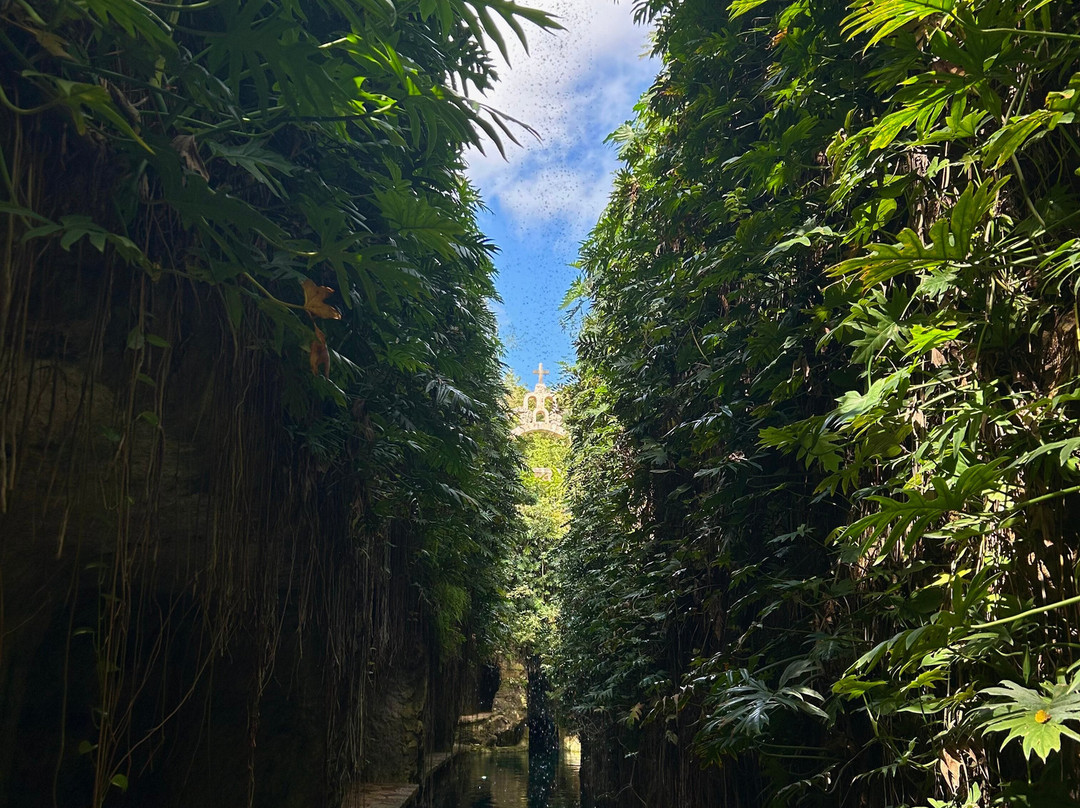 Cenotes Hacienda Mucuyche景点图片