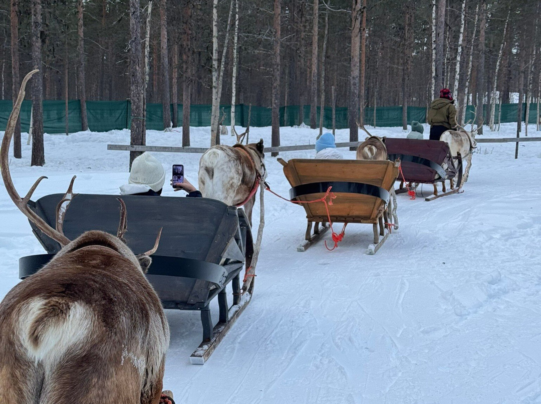 Polar Lights Tours-Sirkka必去景点