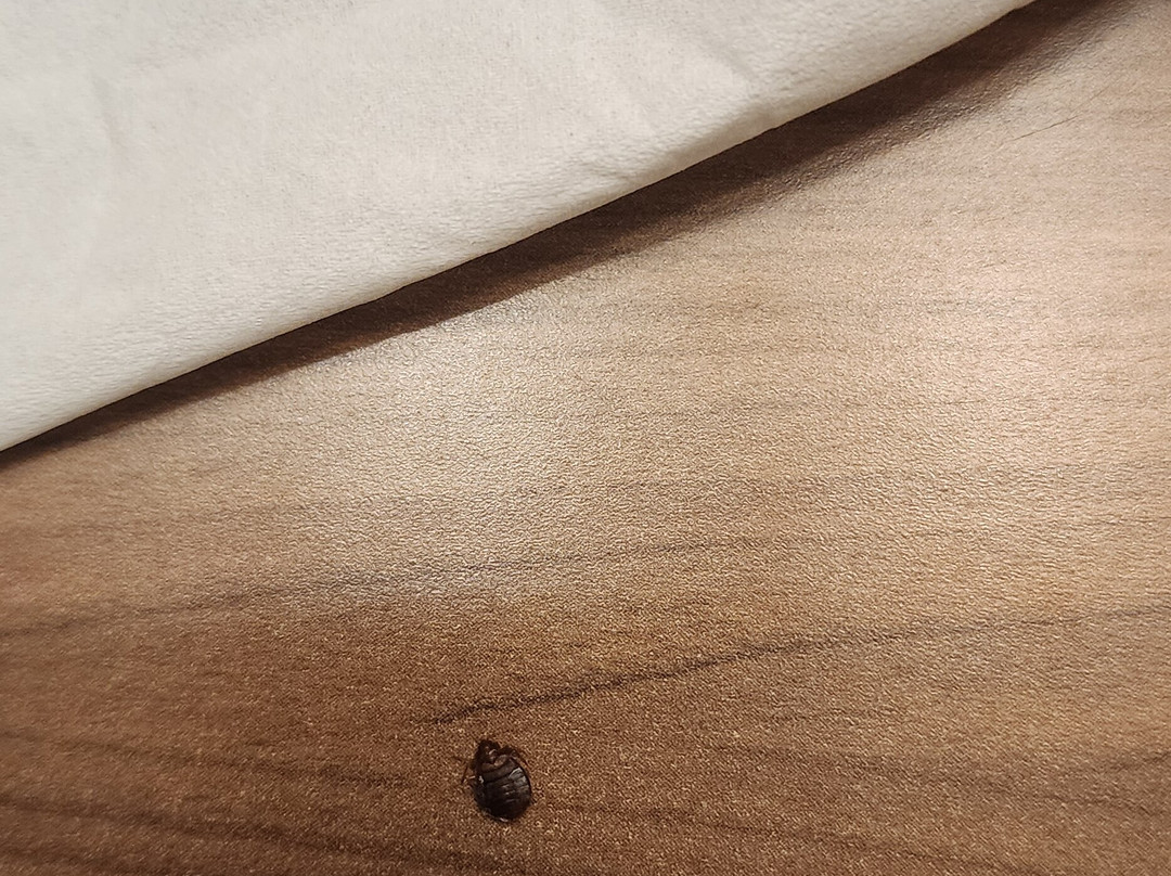 盐湖城市区汉普顿酒店主图