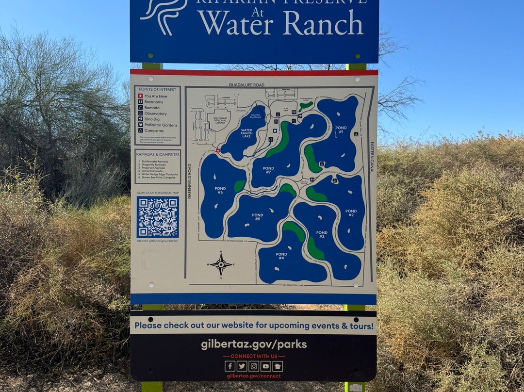 Riparian Preserve at Water Ranch-吉尔伯特必去景点