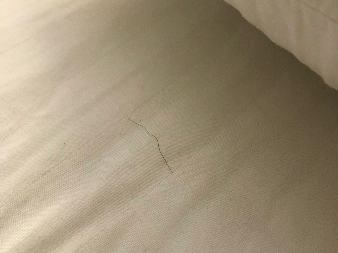 La Quinta Inn & Suites by Wyndham NE Long Beach/Cypress主图