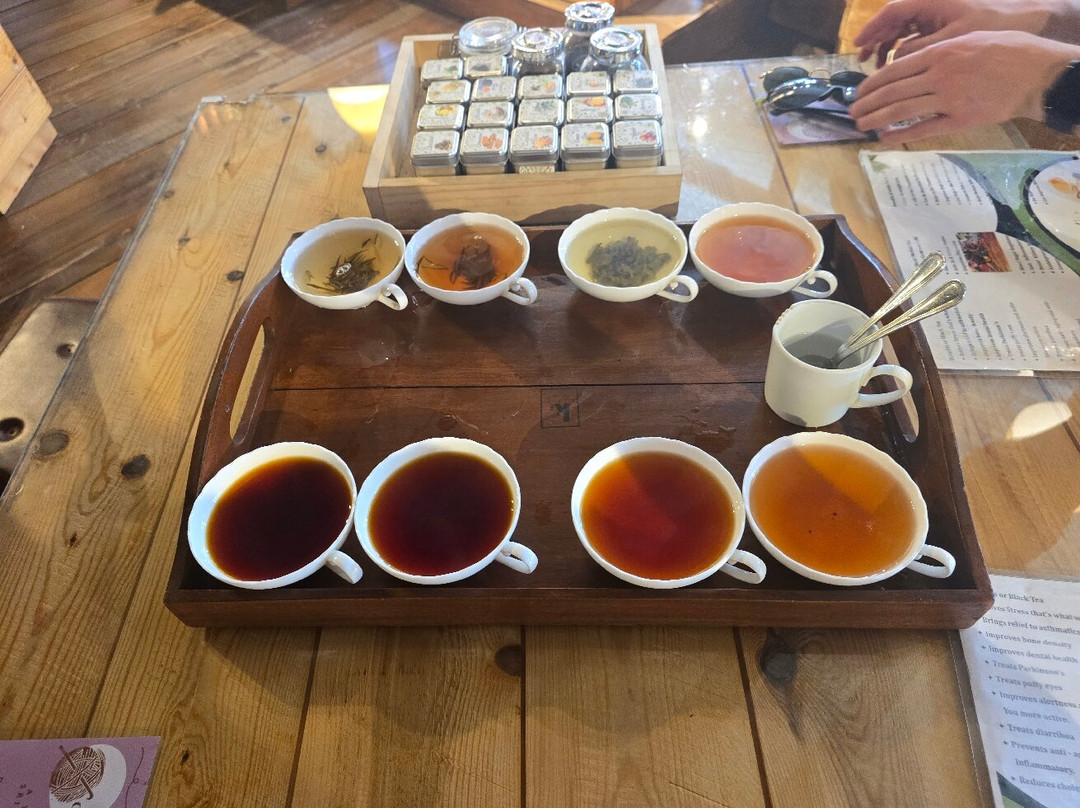 Shan Travel Guide-康提必去景点