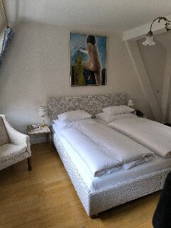 斯乐博格酒店 - 达斯库特酒店主图