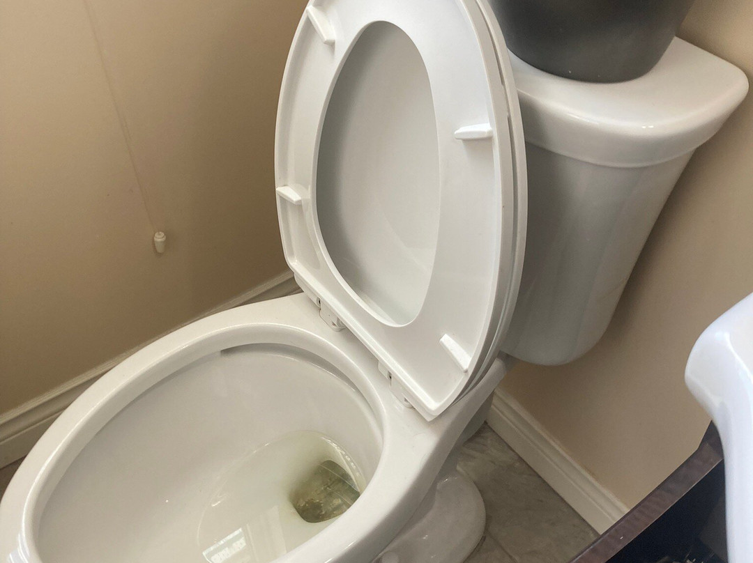 Moncton Scenic Motel主图