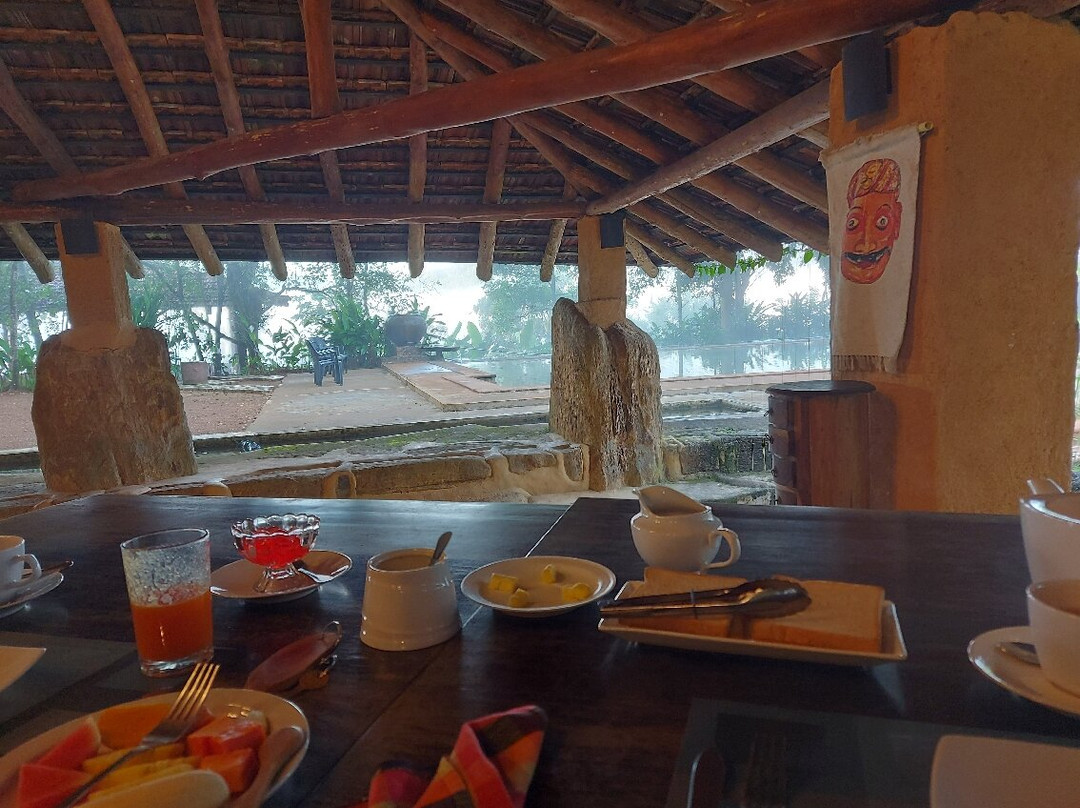 Rainforest Edge主图