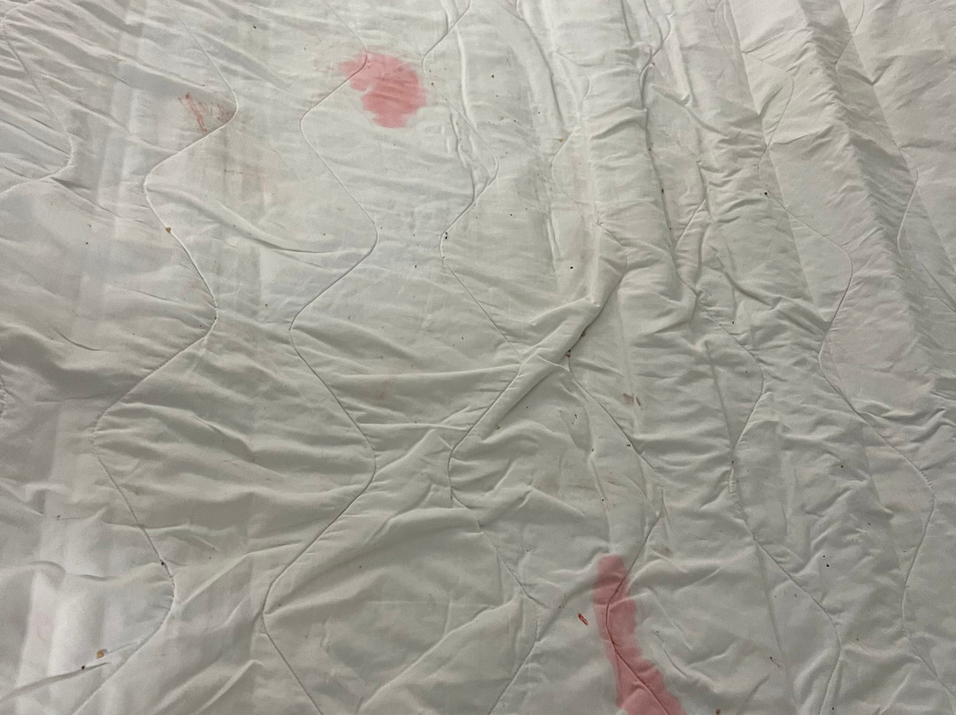 贝斯特韦斯特乡村套房酒店主图