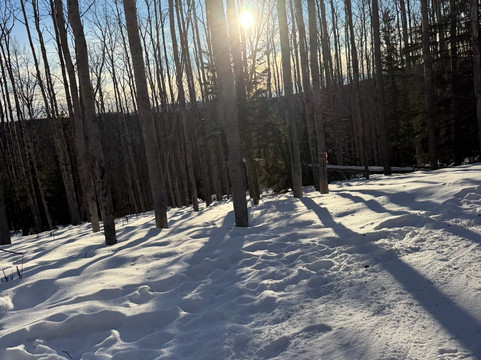 Sluice Box Sled Dogs-费尔班克斯必去景点