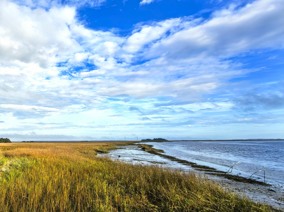 Blythe Island Regional Park-不伦瑞克必去景点