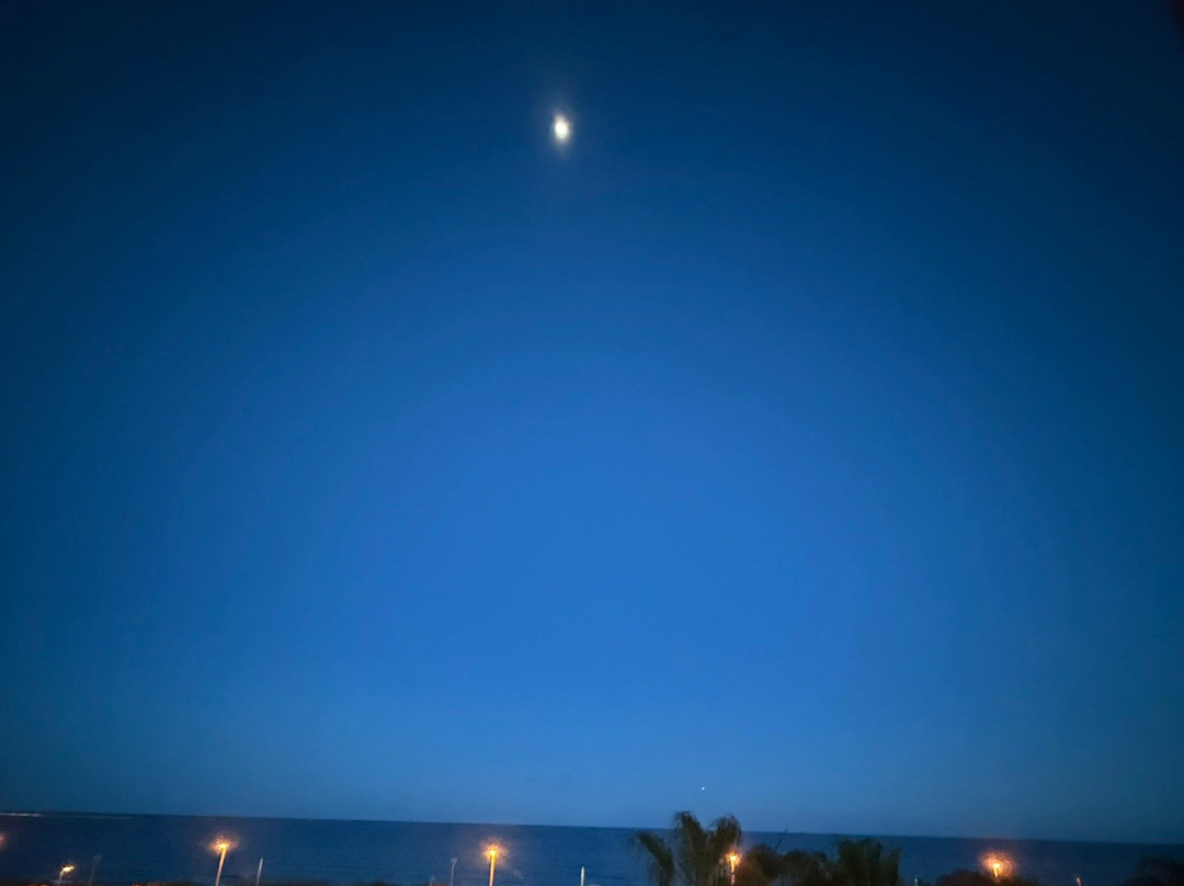 B&B Hotel Alicante主图