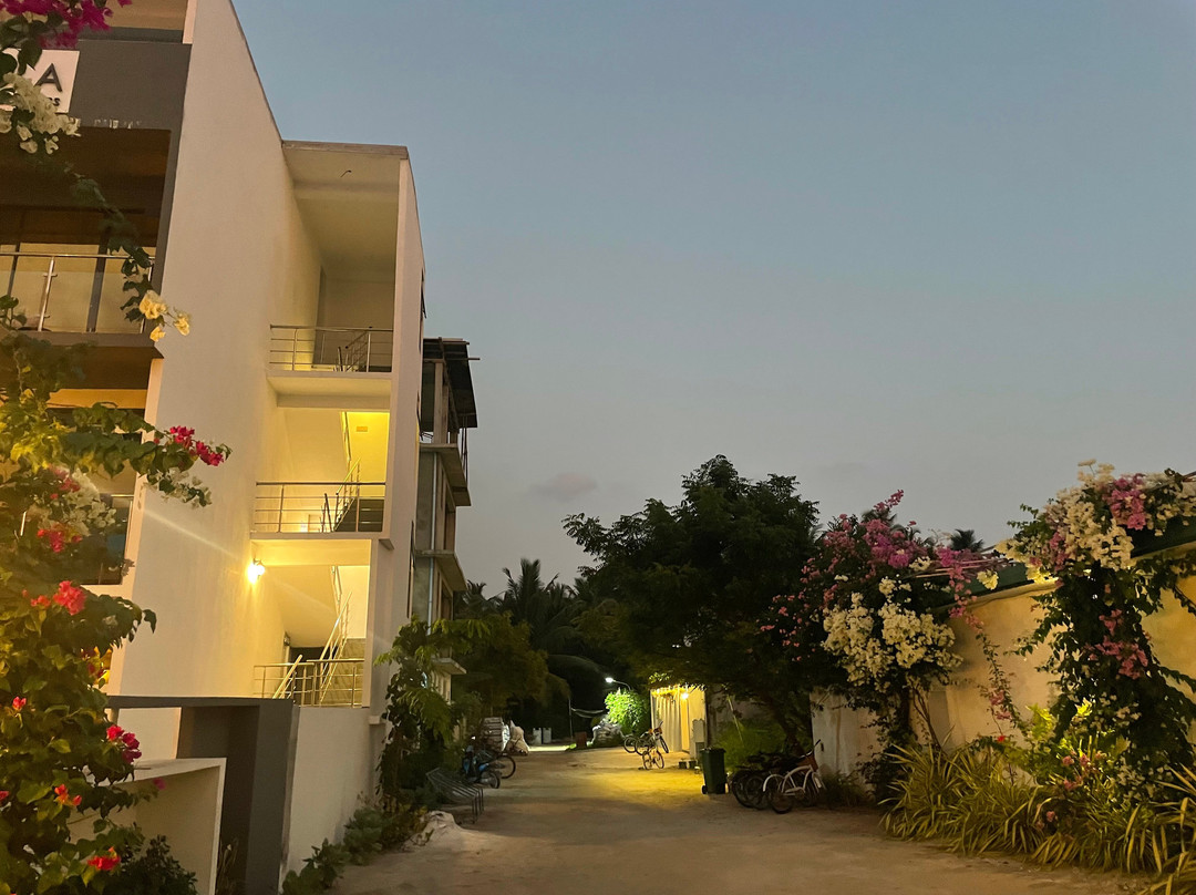 Ahola Thoddoo, Maldives