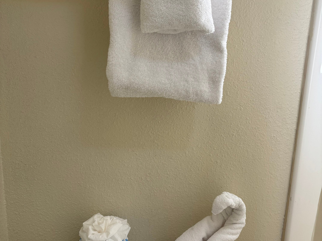 Murphy's River Lodge主图