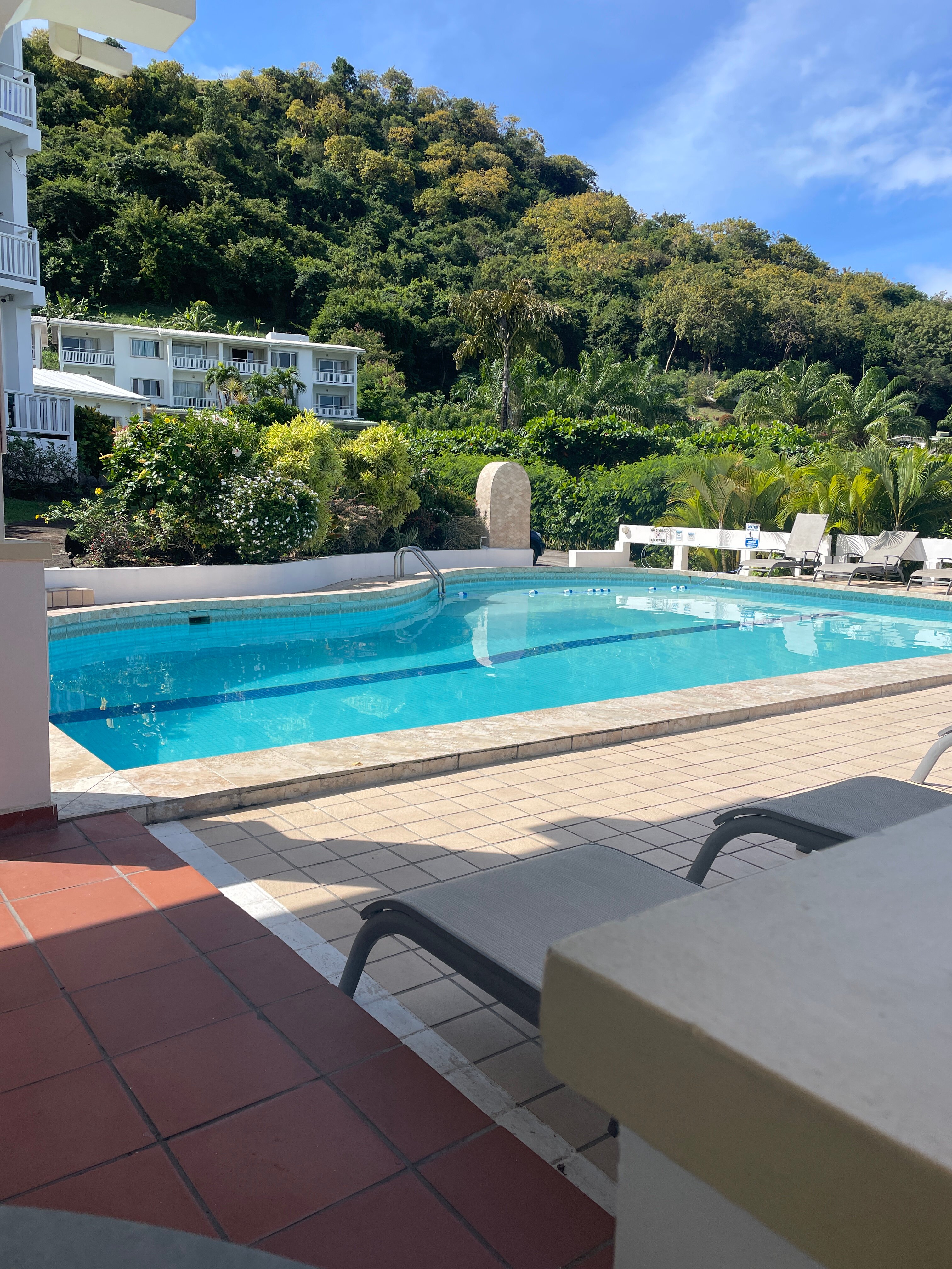 Siesta Hotel-泳池