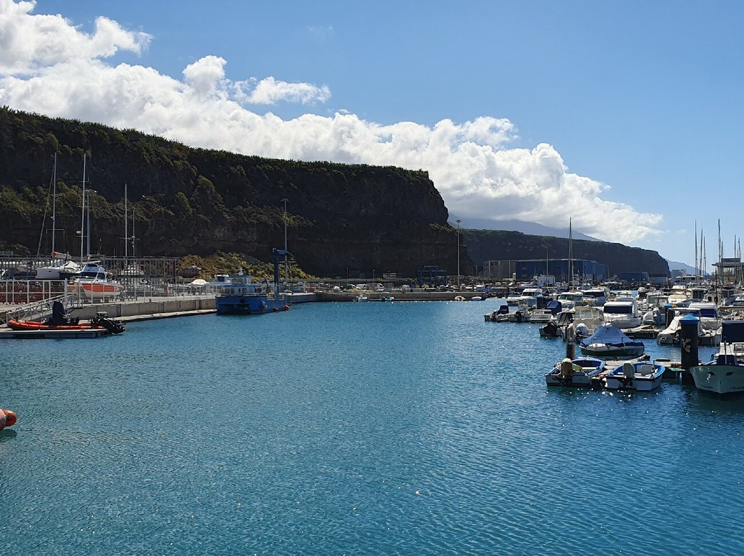 El Puerto de Tazacorte景点图片