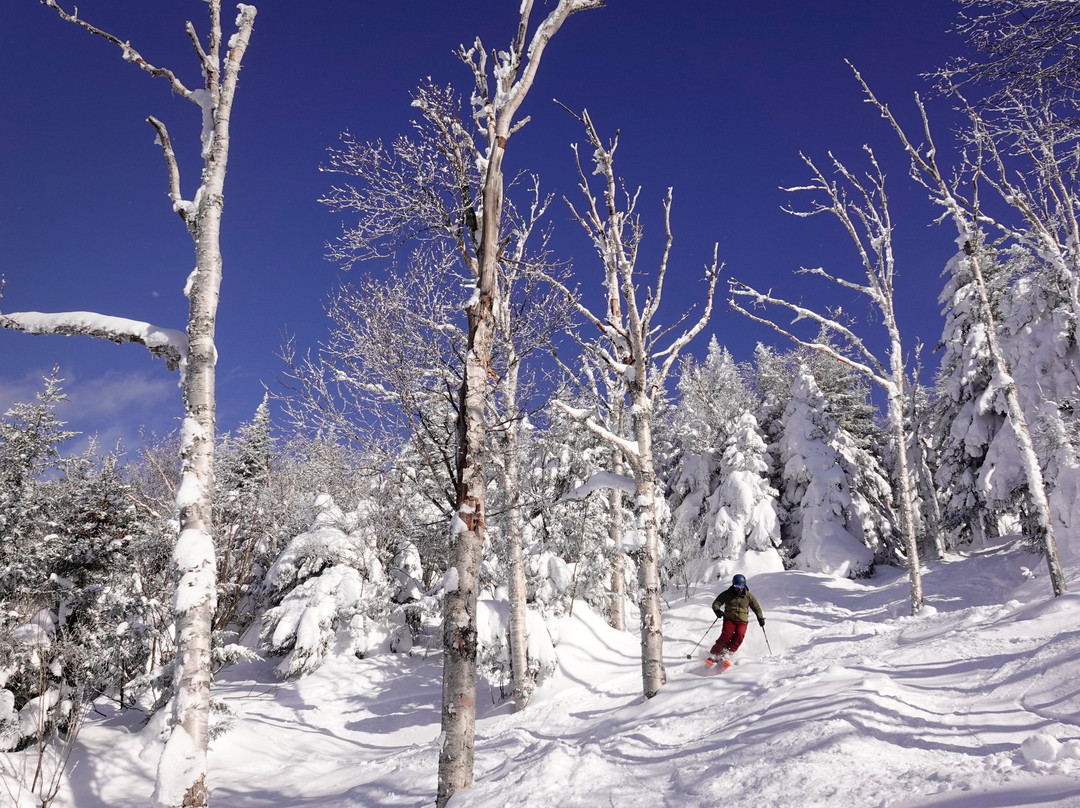 Mont SUTTON-Sutton必去景点