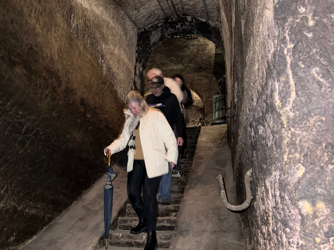 Teseotur-奥尔维耶托必去景点