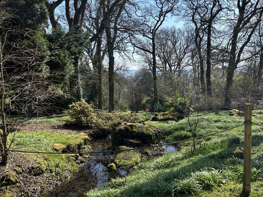 Batsford Arboretum景点图片