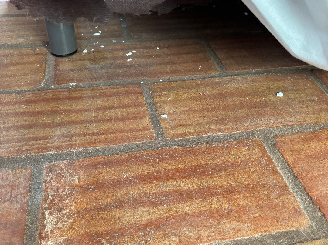 Monte Rosa Rural Guesthouse主图