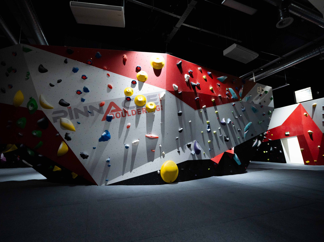The Pinnacle Bouldering Centre景点图片