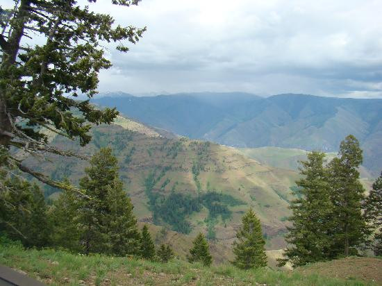 Clear Creek Farm主图