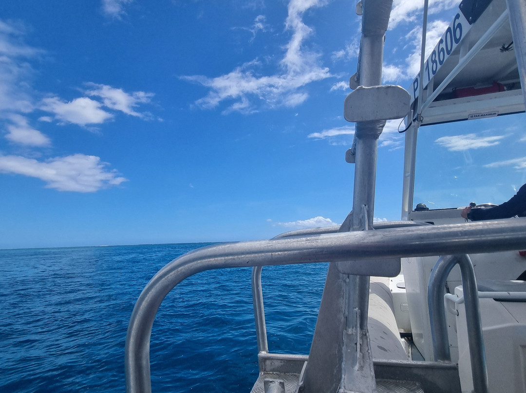 Dive and Sea Tahiti - Base nautique de Puna'auia景点图片