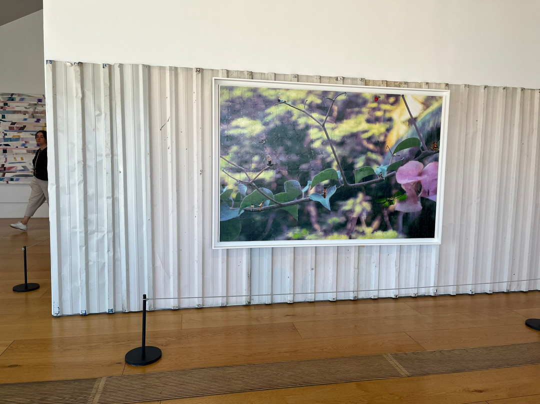 OMM - Odunpazari Modern Museum-埃斯基谢希尔必去景点