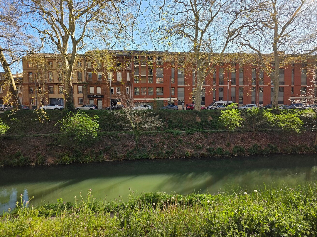Canal de Brienne (Le)-图卢兹必去景点