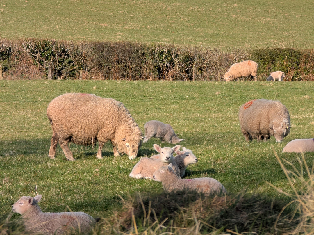 Llanddetty Hall Farm主图