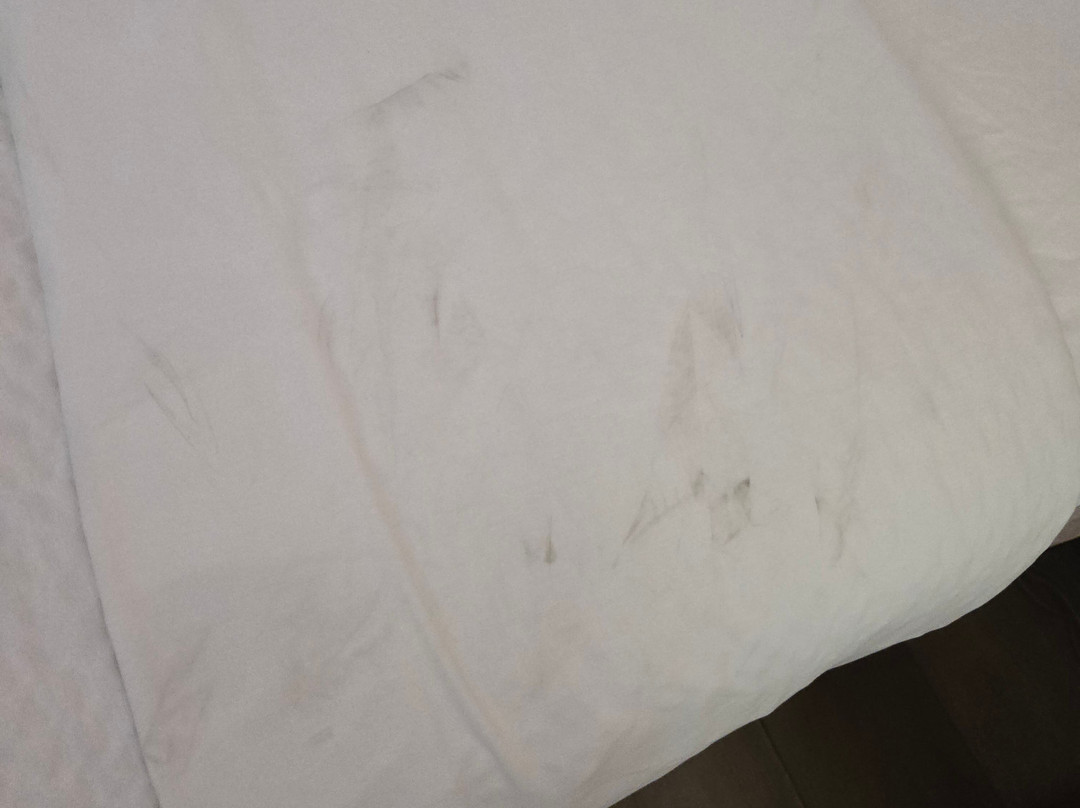 斯泰茨伯勒戴斯酒店主图