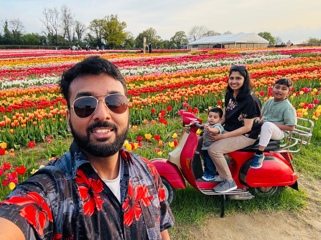 Tulleys Tulip Fest景点图片