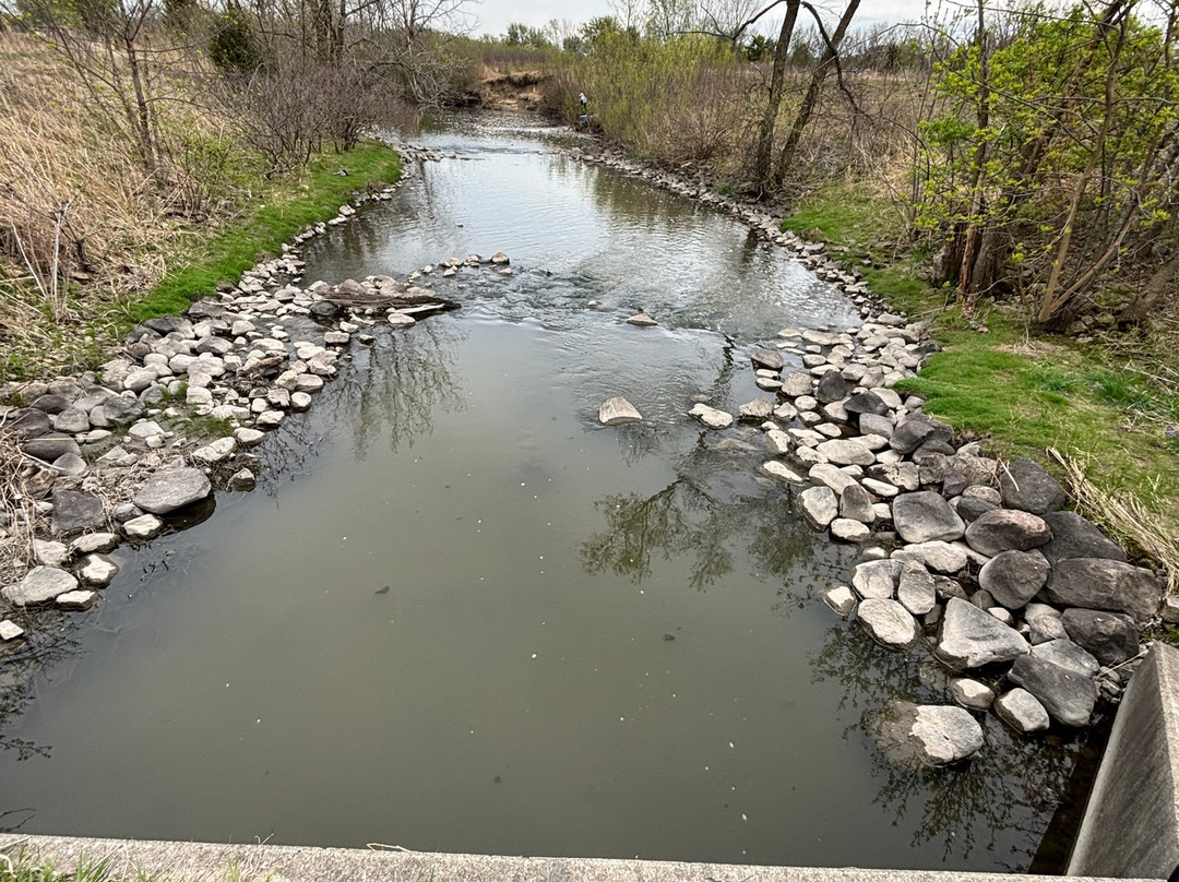 Techny Basin Conservation Area-格伦维尤必去景点