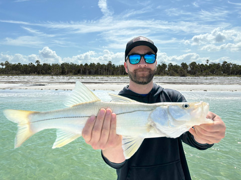 Tampa Bay Flats Fishing-坦帕必去景点