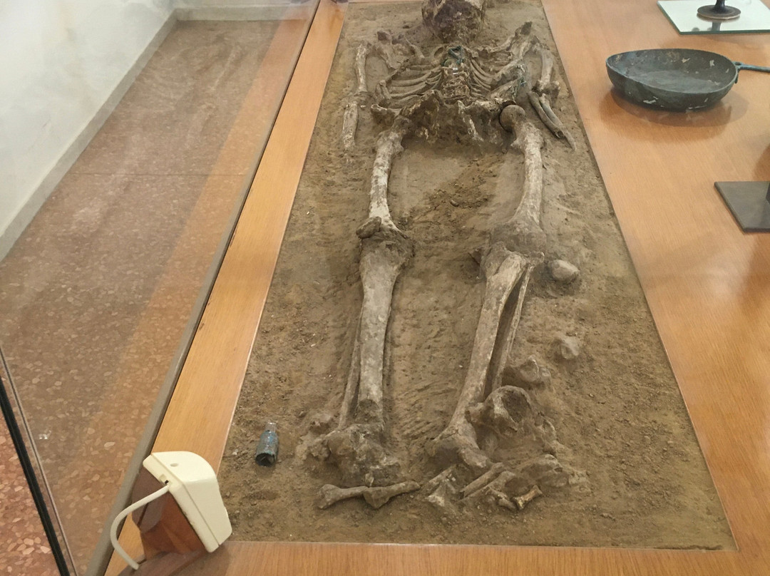 Museo Nazionale Etrusco Pompeo Aria景点图片