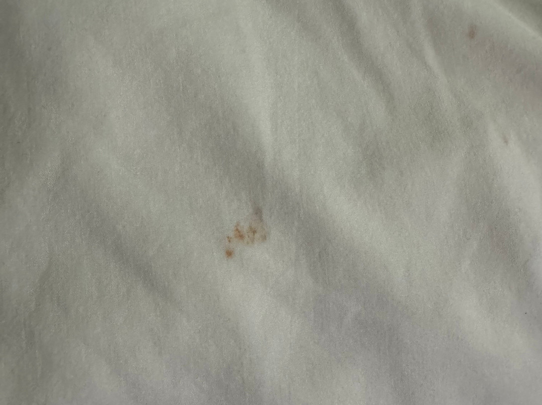 La Quinta Inn & Suites by Wyndham O'Fallon, IL - St. Louis主图