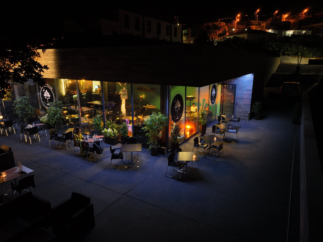 Magnolia - Contemporary Bar & Restaurant