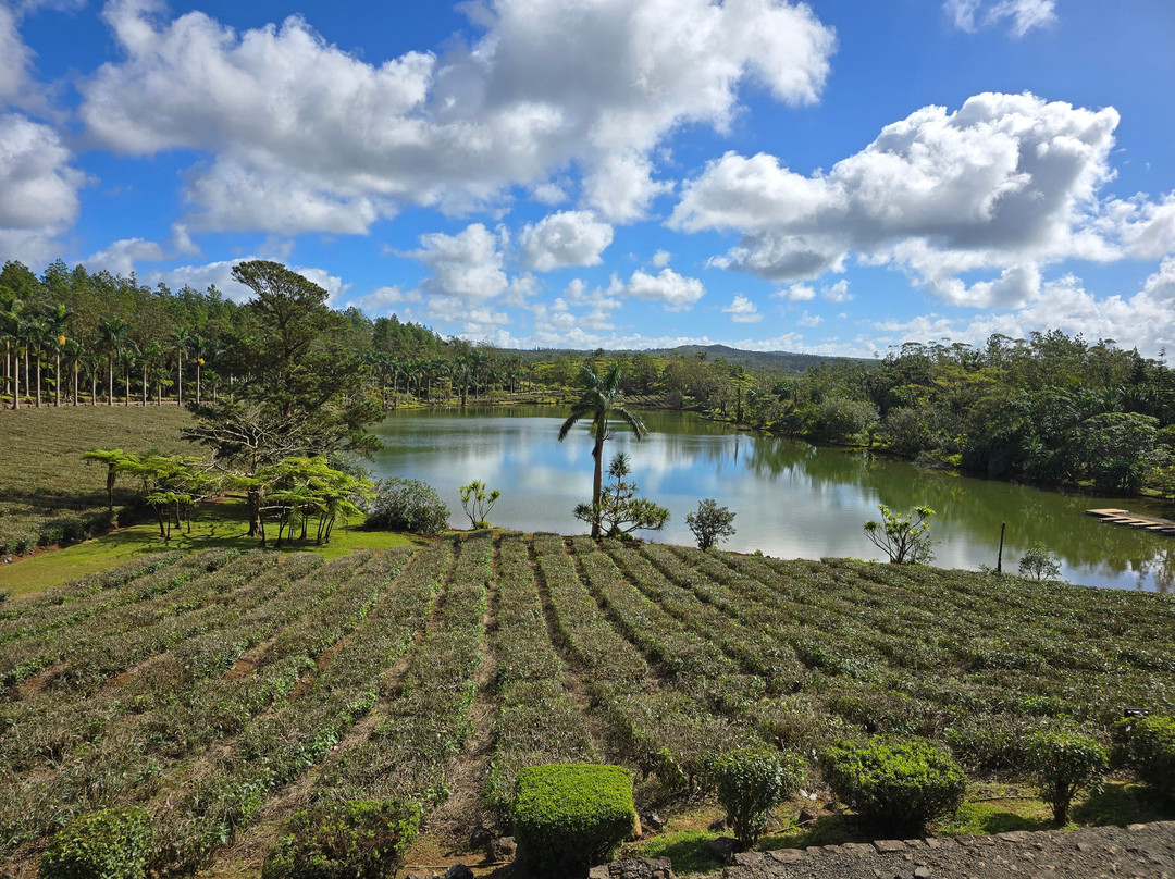 ASHLEY TAXI GUIDE MAURITIUS-Centre de Flacq必去景点
