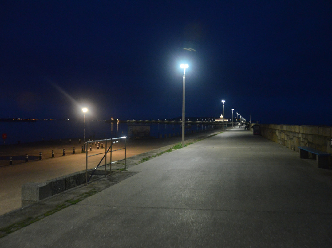 Dun Laoghaire Harbour-当莱瑞必去景点