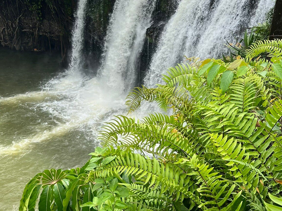 Tropic Wings Cairns Tours & Charters-凯恩斯必去景点
