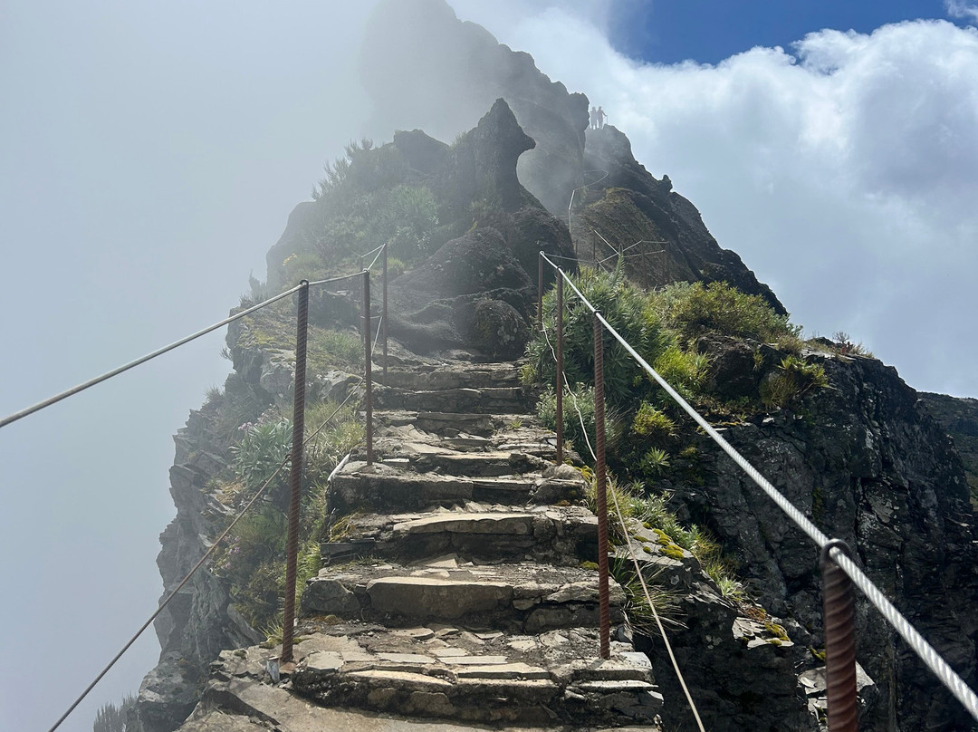 Madeira Friendly Guide-沙尔必去景点